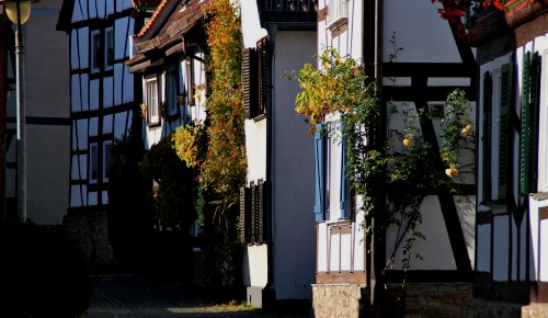 Bad-nauheim